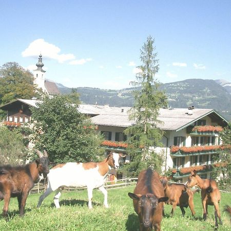 Torrenerhof Hotel Golling an der Salzach Exterior photo