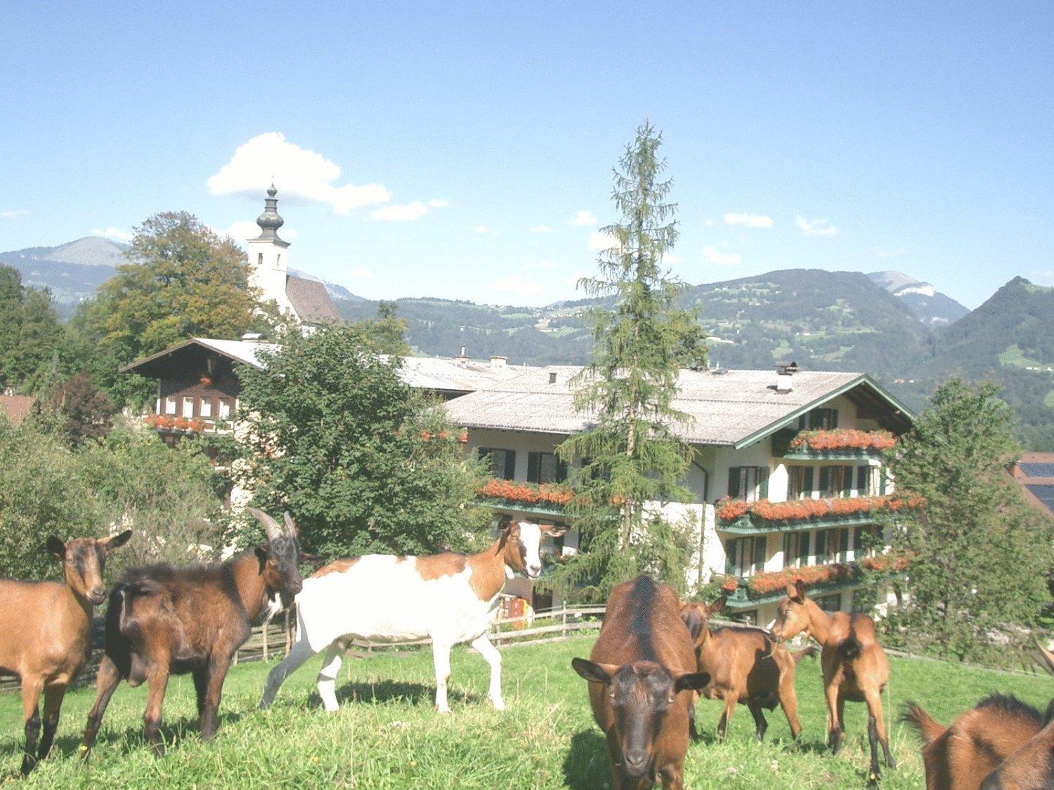 Torrenerhof Hotel Golling an der Salzach Exterior photo