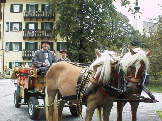 Torrenerhof Hotel Golling an der Salzach Exterior photo